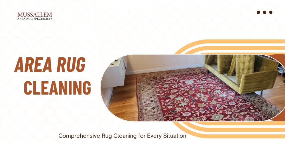 Restore Your Area Rug with Professional Cleaning – Animal Issues, Mold, Mildew, and More